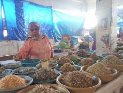 Pedagang Mengeluh Harga Ikan Kering Anjlok