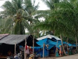 165,99 Ribu Jiwa Penduduk di Sulbar Kategori Miskin