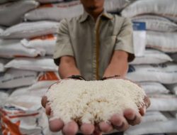 Persediaan Beras Bulog Mamuju Capai 1.387 Ton