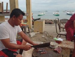 Nelayan Majene Tak Melaut, Pedagang Jual Ikan dari Parepare dan Makassar