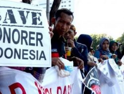 Koordinator Aliansi Honorer Nasional Sulbar Angkat Bicara Rencana Pemberhentian 2.742 PTT