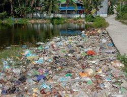 Warga Buang Sampah di Bekas Empang di Majene, Kini Kondisinya Jorok dan Busuk