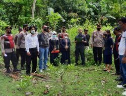 Lahan Seluas 2.596 M² Dieksekusi Pengadilan Negeri Majene