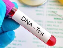 Sampel DNA Bayi Kepala Desa Hasil Perkosa Gadis 17 Tahun di Mamuju Dikirim ke Pusat Laboratorium Forensik Polri