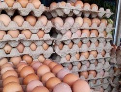 Jelang Idul Fitri Harga Telur Ayam di Pasar Topoyo Mateng Melonjak