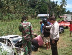 Kecelakaan Tunggal Pajero Sport Terjun ke Kebun Jagung Warga di Topore