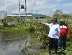 Dinas Perkebunan Buka Lahan untuk Program Sulbar Merdeka Pangan