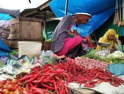 Harga Cabai di Polman Melambung Jadi Rp 60 Ribu per Kilogram