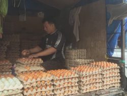 Harga Telur Melonjak
