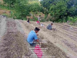 Kades Bonde Inisiasi Gerakan Tanam Bawang Merah