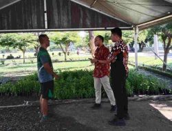 DTPHP Sulbar Distribusi 10 Ribu Bibit Cabai