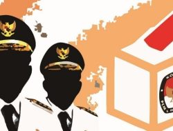 Pilkada Serentak 27 November 2024, Termasuk Majene