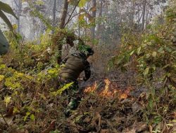 Warga dan TNI Berhasil Padamkan Tujuh Titik Kebakaran Lahan di Desa Simbang