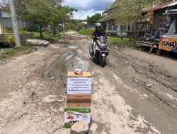 Warga Talumung Majene Galang Dana Kreatif untuk Perbaikan Jalan Rusak di Samping Rektorat Unsulbar