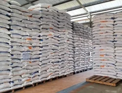 Bulog Mamuju Pastikan Stok Beras Aman hingga Pascalebaran 2026