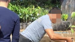 Bukan Produsen, CV AyU Tetap Dapat Pengadaan Bibit Kakao Rp24,9 Miliar, BPK Temukan Keuntungan Tidak Wajar Rp2,4 Miliar