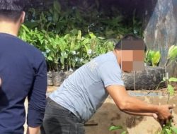 Bukan Produsen, CV AyU Tetap Dapat Pengadaan Bibit Kakao Rp24,9 Miliar, BPK Temukan Keuntungan Tidak Wajar Rp2,4 Miliar